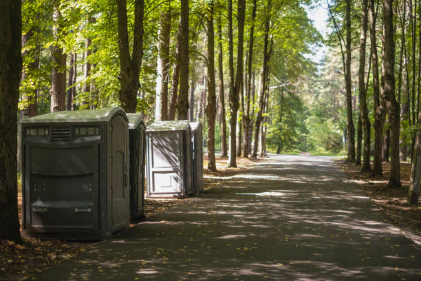 Portable Toilet Options We Offer in Elysburg, PA